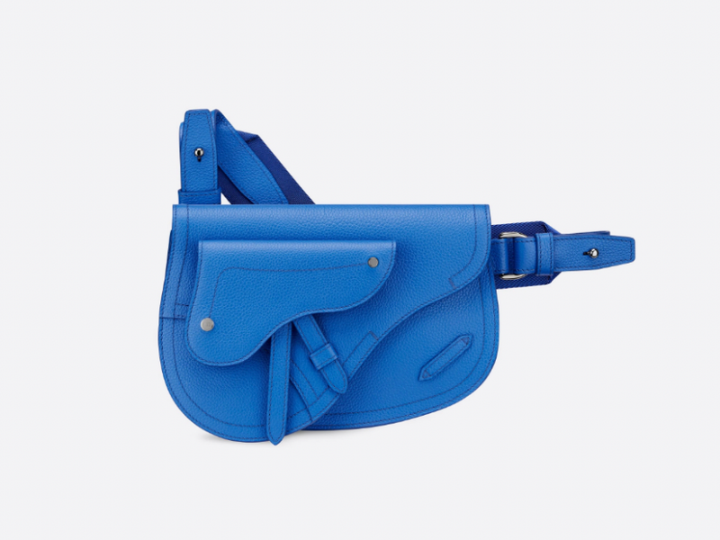 Dior Calfskin Saddle Pouch