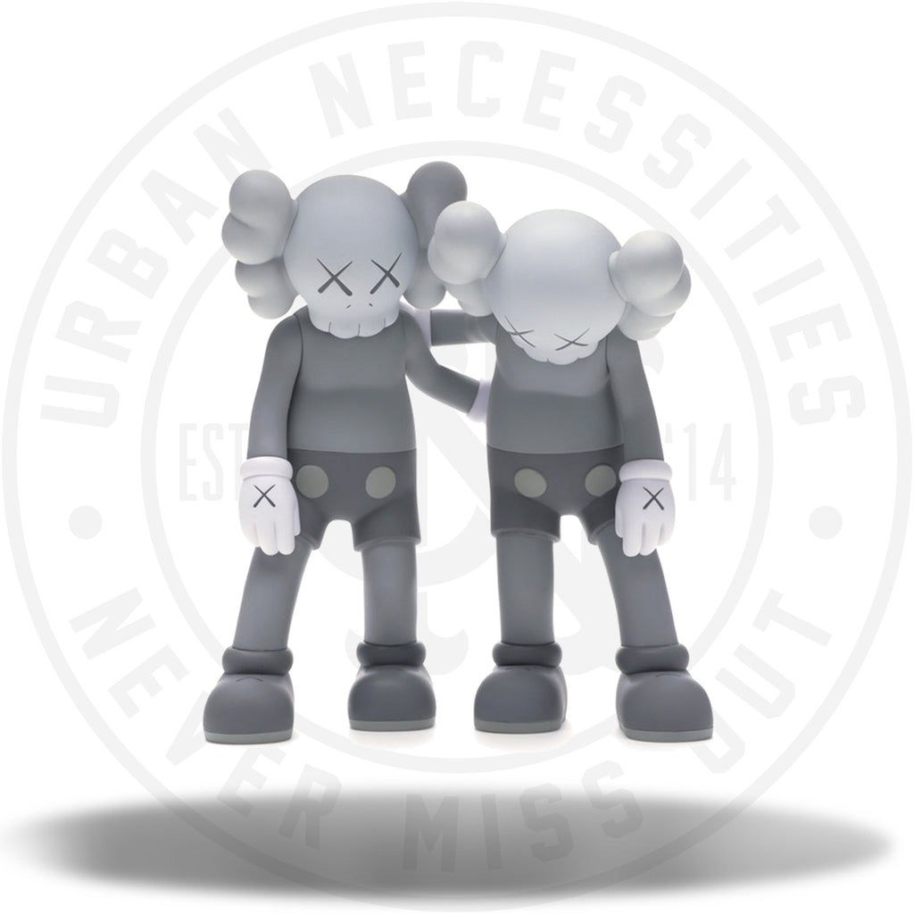 KAWS Along The Way Vinyl Figure Grey – RvceShops