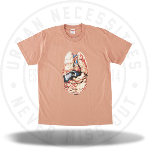 Supreme liquid clearance tee terra cotta